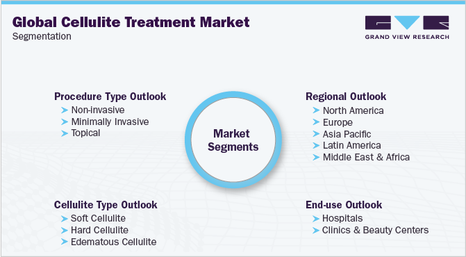 Global Cellulite Treatment Market Segmentation 全球脂肪团治疗市场细分