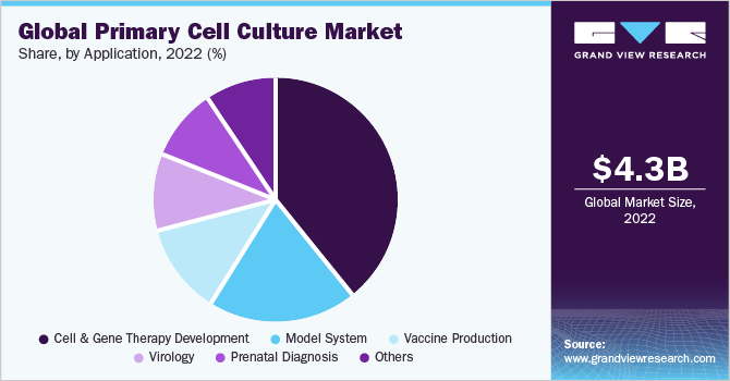 Global primary cell culture market share, by cell type, 2020 (%) 全球市场份额主要细胞培养,细胞类型,2020 (%)
