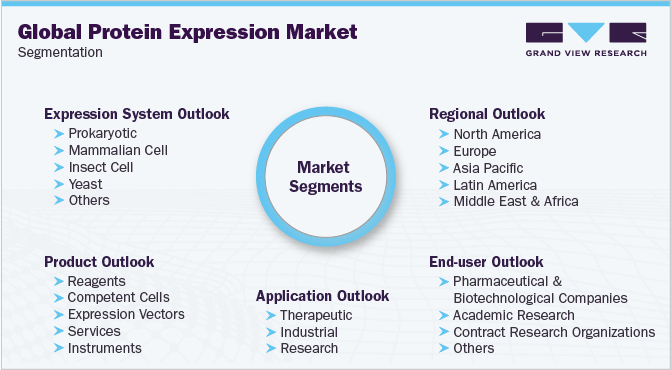 Global Protein Expression Market Segmentation 全球蛋白表达市场细分